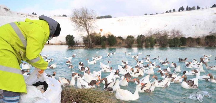 PAMUKKALE’DE BAYAT EKMEKLER ÇÖP OLMUYOR