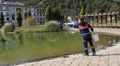 PAMUKKALE’DE SİVRSİNEK İLE MÜCADELE DEVAM EDİYOR
