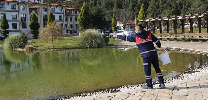 PAMUKKALE’DE SİVRSİNEK İLE MÜCADELE DEVAM EDİYOR