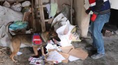 DENİZLİ’DE BÜYÜK UYUŞTURUCU OPERASYONU