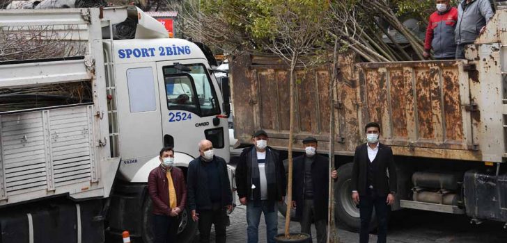 BULDAN’DA 2 BİN FİDAN TOPRAKLA BULUŞACAK