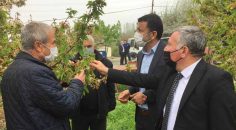 HONAZ AFET BÖLGESİ İLAN EDİLSİN