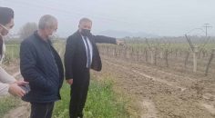 HONAZ BELEDİYESİ, DOLU MAĞDURLARININ YANINDA