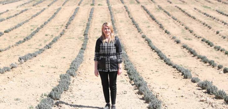 MERKEZEFENDİ’DE LAVANTA BAHÇESİ YAZA HAZIRLANIYOR