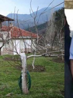 MİRAS YÜZÜNDEN AKRABASINI ÖLDÜRDÜ