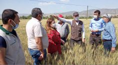 CHP: SARAYKÖY’DE ÜRETİM YAPILAMAZ HALE GELDİ