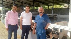 “MÜTEAHHİTLERE DEĞİL HAYVANCILIĞA DESTEK ÇIKIN”