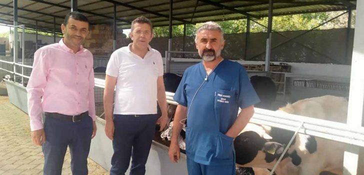 “MÜTEAHHİTLERE DEĞİL HAYVANCILIĞA DESTEK ÇIKIN”