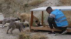 MAMA ÜRETİYOR, BESLİYOR, CAN DOSTLARI YALNIZ BIRAKMIYOR