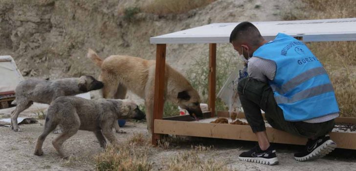 MAMA ÜRETİYOR, BESLİYOR, CAN DOSTLARI YALNIZ BIRAKMIYOR