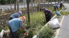 MERKEZEFENDİ’DE PARK VE YEŞİL ALANLARA BAKIM YAPILIYOR