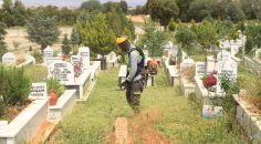 BÜYÜKŞEHİR MEZARLIKLARDA BAKIM VE TEMİZLİK YAPIYOR