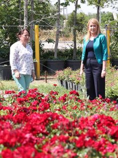 MERKEZEFENDİ, KENDİ ÜRETTİĞİ ÇİÇEKLERLE TASARRUF SAĞLIYOR