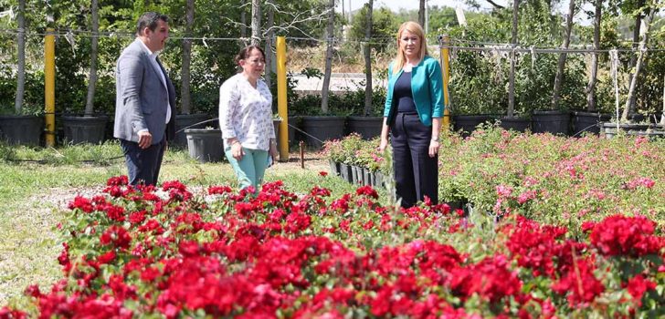 MERKEZEFENDİ, KENDİ ÜRETTİĞİ ÇİÇEKLERLE TASARRUF SAĞLIYOR