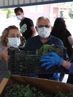 MERKEZEFENDİ BELEDİYESİ’NDEN ÜRETİCİYE 200 BİN FİDE DESTEĞİ