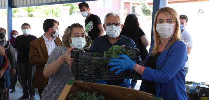 MERKEZEFENDİ BELEDİYESİ’NDEN ÜRETİCİYE 200 BİN FİDE DESTEĞİ
