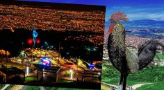 PAMUKKALE BELEDİYESİ SEYİR TEPESİ ŞEHİR ORMANI AÇILDI