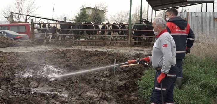 PAMUKKALE’DE BESİHANECİLER MEMNUN