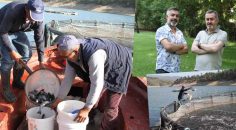 DENİZİ OLMAYAN DENİZLİ’DEN BALIK İHRACATI REKORU