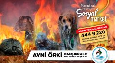 PAMUKKALE BELEDİYESİ’NDEN CAN DOSTLAR İÇİN KAMPANYA