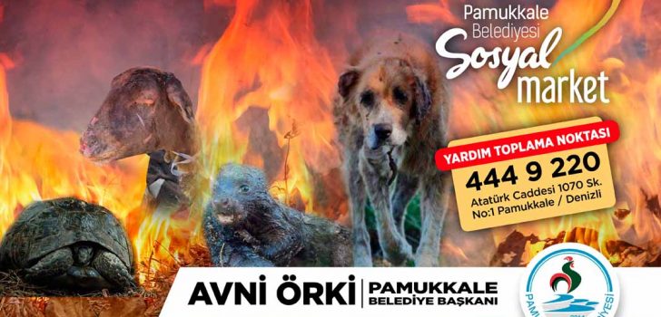 PAMUKKALE BELEDİYESİ’NDEN CAN DOSTLAR İÇİN KAMPANYA