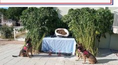 BAKLAN’DA 10 KİLO UYUŞTURUCU YAKALANDI