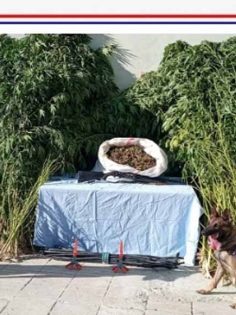 BAKLAN’DA 10 KİLO UYUŞTURUCU YAKALANDI