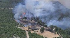 ACIPAYAM’DAKİ YANGIN KORKUTTU