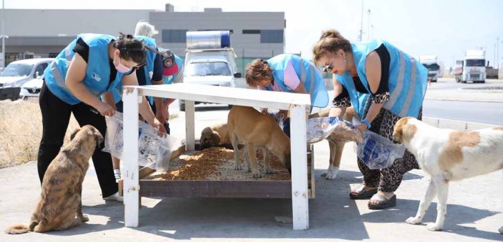 MERKEZEFENDİ’DE ATIK GIDALARDAN AYLIK 4,5 TON MAMA ÜRETİLİYOR