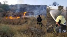 YANGIN FABRİKALARA SIÇRAMADAN ÖNLENDİ