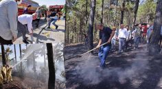 ORMAN YANGINI VATANDAŞLARIN YARDIMI İLE SÖNDÜRÜLDÜ