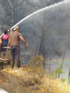 CHP: TELAFİSİ MÜMKÜN OLMAYAN KAYIPLAR YAŞANDI