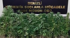 UYUŞTURUCU OPERASYONUNDA 11 KİŞİ GÖZALTINA ALINDI