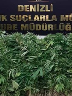 UYUŞTURUCU OPERASYONUNDA 11 KİŞİ GÖZALTINA ALINDI