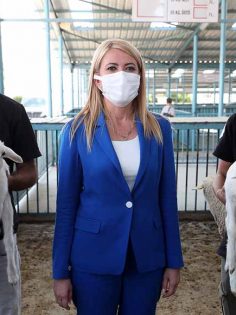 MERKEZEFENDİ, KOYUN VE YEM HİBE ETTİ