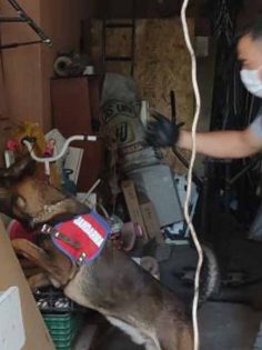 SPOTÇUYA UYUŞTURUCU BASKINI