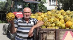 KAVUN ÜRETİCİSİNİN İSYANI