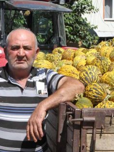 KAVUN ÜRETİCİSİNİN İSYANI