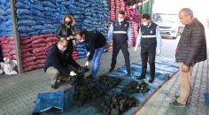 BÜYÜKŞEHİR’DEN KÖMÜR DENETİMLERİ