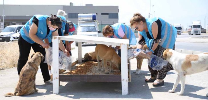 MERKEZEFENDİ BELEDİYESİ CAN DOSTLARA SAHİP ÇIKIYOR