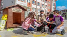 HER OKULA BİR SOKAK KÖPEĞİ