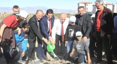 AKTEPE MAHALLESİNE PARK VE AĞAÇLANDIRMA PROJESİ
