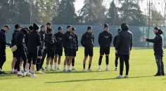 HOROZLAR DADAŞ DİYARINDA