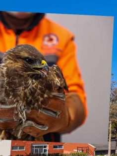 BÜYÜKŞEHİR KARTALA IŞIK OLDU