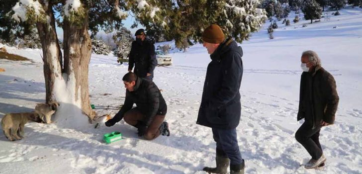 ACIPAYAM’DA CAN DOSTLARA MAMALARINI PROTOKOL VERDİ