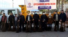 5 YILDA 380 BİN CEVİZ FİDANI TOPRAKLA BULUŞTU