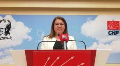 MİLLETVEKİLİ KARACA, ELEKTRİK KESİNTİSİNİ SORDU