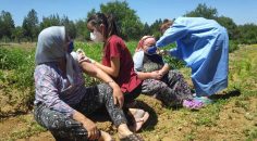 MOBİL AŞI İLE 204 BİN KİŞİ AŞILANDI