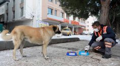 BÜYÜKŞEHİR CAN DOSTLARI DA UNUTMADI