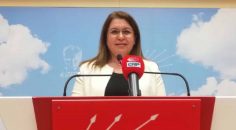 KARACA: ELEKTRİK ZAMLARI ÇİFTÇİYİ VURDU!